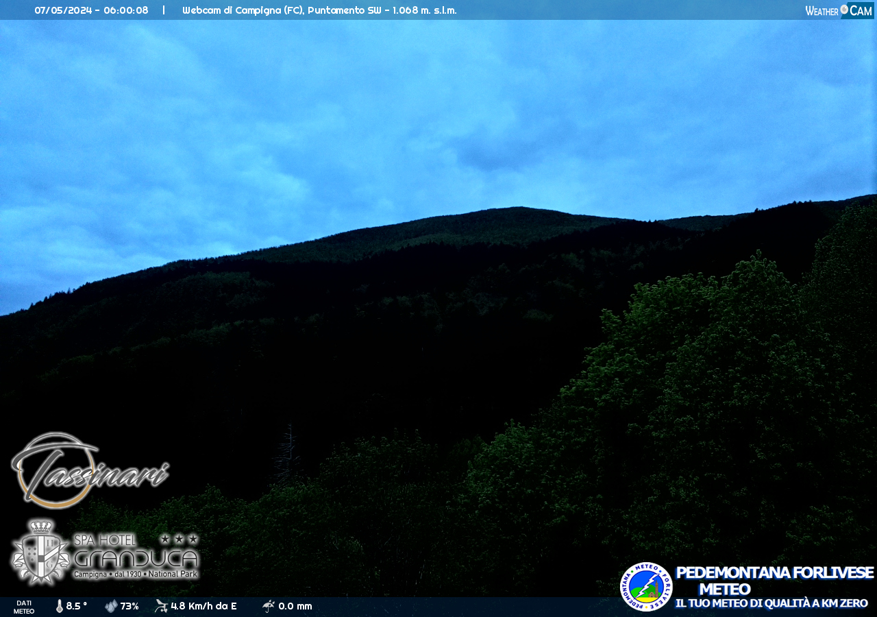 webcam campigna monte